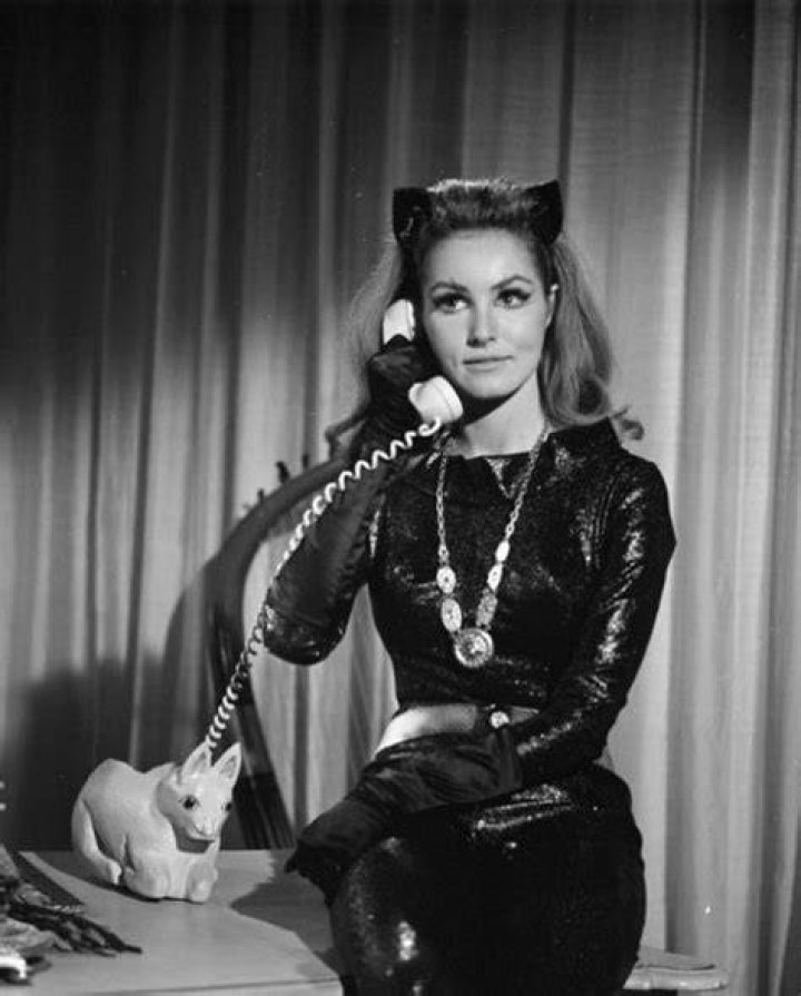 24 Publicity Photos of Julie Newmar as Catwoman in &lsquo;Batman&rsquo; TV Series
