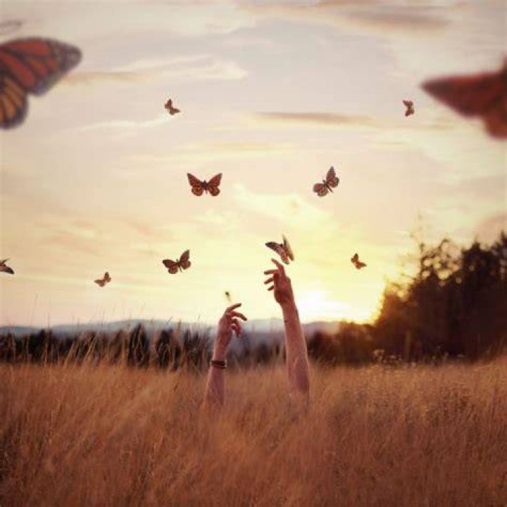 8tracks radio hybristophilia. (9 songs) free and music playlist