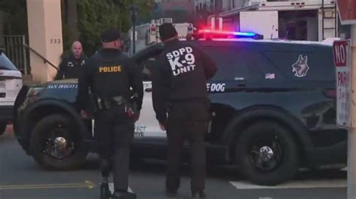 After lengthy standoff with police, Chris Brown arrested Daily Mail