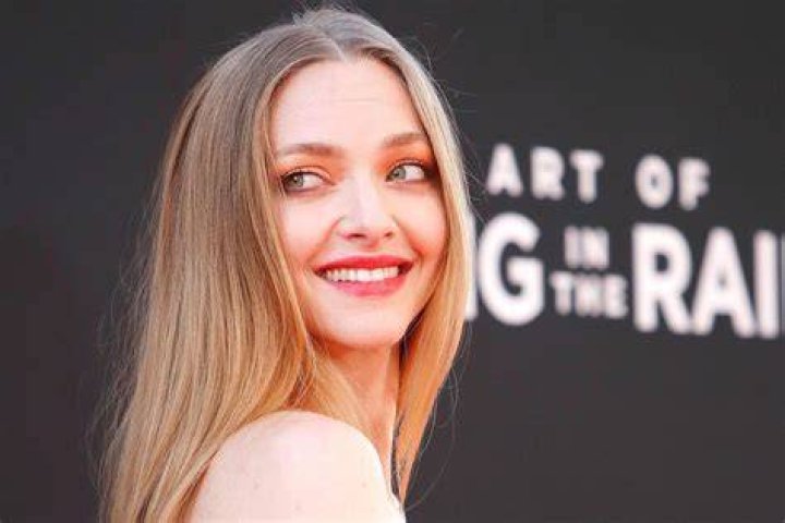 Amanda Seyfried y el acoso que sufrió tras Chicas pesadas