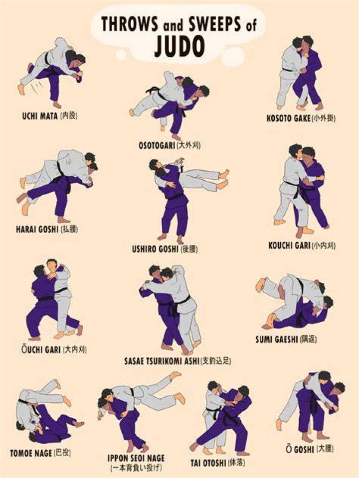 Best Of judo point system Judo point spidser blunt spids fugle Blog