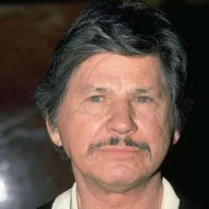 Charles Bronson Net Worth, Wealth, and Annual Salary 2 Rich 2 Famous