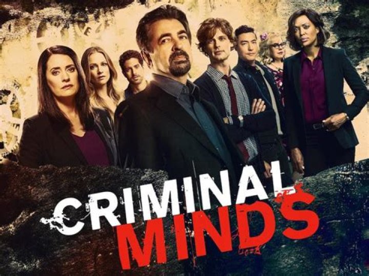 Criminal Minds 10 Best Profilers In The BAU, Ranked