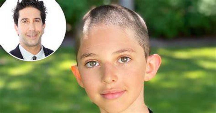 David Schwimmer Daughter Shaved Head / David Schwimmer's Daughter Cleo Shaves Her Head Pic