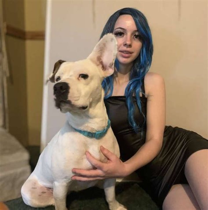 Denise Frazier Dog viral video, Who is Denise Frazier? 19, arrested on video Condotel Education