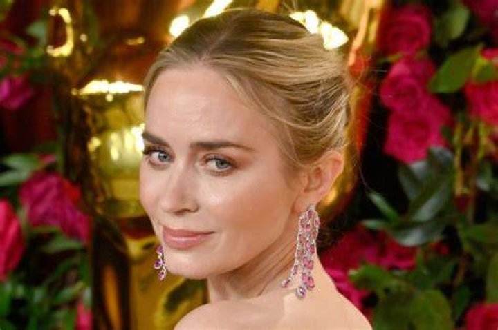 Emily Blunt stars in crime drama Sicario