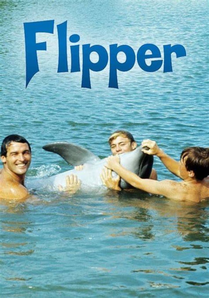 Flipper (1964)