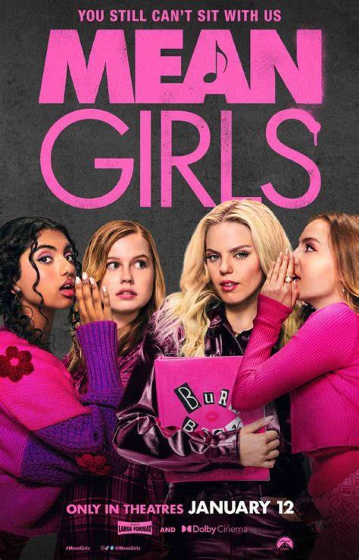 From Mean Girls to The Dropout Amanda Seyfried's chaotic career