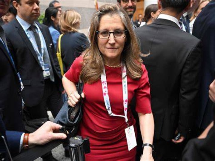 GOLDSTEIN Freeland questions if 'capitalist democracy' still works