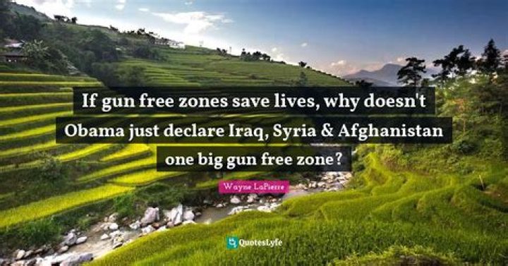 Gun Free Zones save lives Imgflip