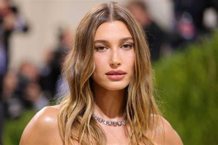 Hailey Bieber's Bodyguard Protects Her From A Crazy TMZ Tour Bus Guide