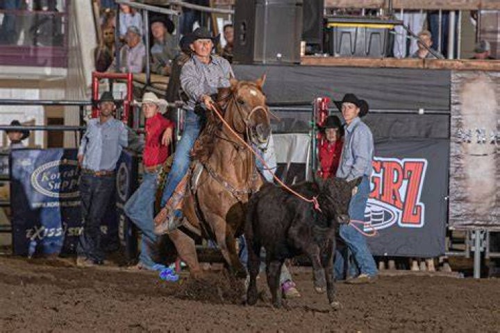 Horses for Courses, Badlands Circuit Awards Horses for Rodeo Ability
