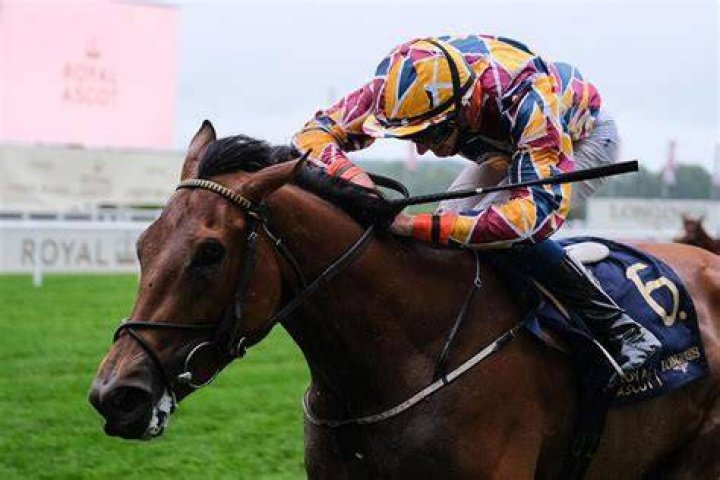 How Much Does a Racehorse Cost? &bull; Horsezz