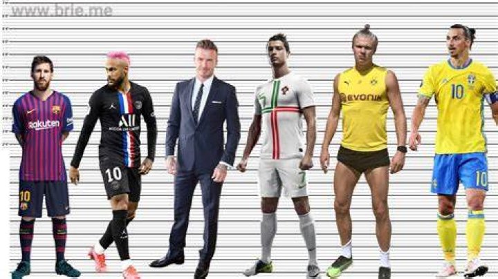 How tall is Zlatan Ibrahimovic? Zlatan Ibrahimovic Height, Age, Weight