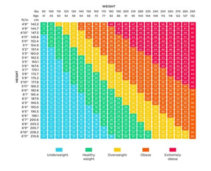 How to วิธีคำนวณหาค่า BMI ดัชนีมวลกาย แบบง่ายๆ สินค้าป้ายแดง