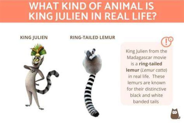 Into the life of Julien Portman, the celebrity kid QuikForce