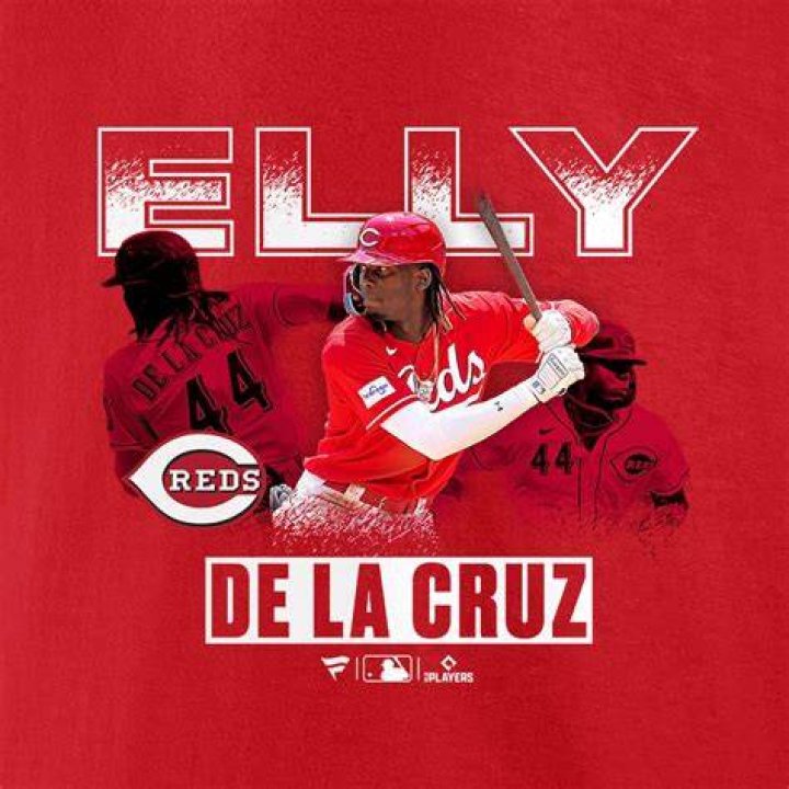 Irm&atilde;o Elly De La Cruz Ele &eacute; parente de Bryan De La Cruz? MLB