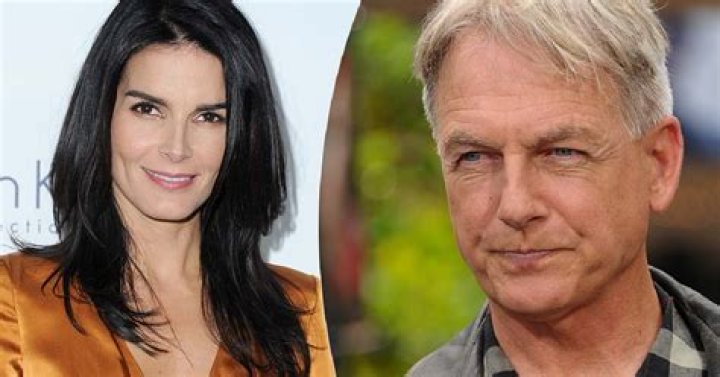 Is Angie Harmon Related to Mark Harmon from CSI?