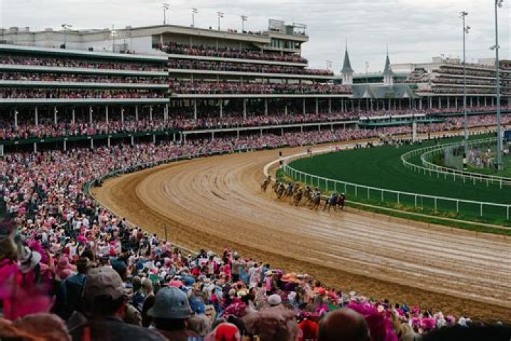 Kentucky Derby Horse Price How Much Money Do They Cost?