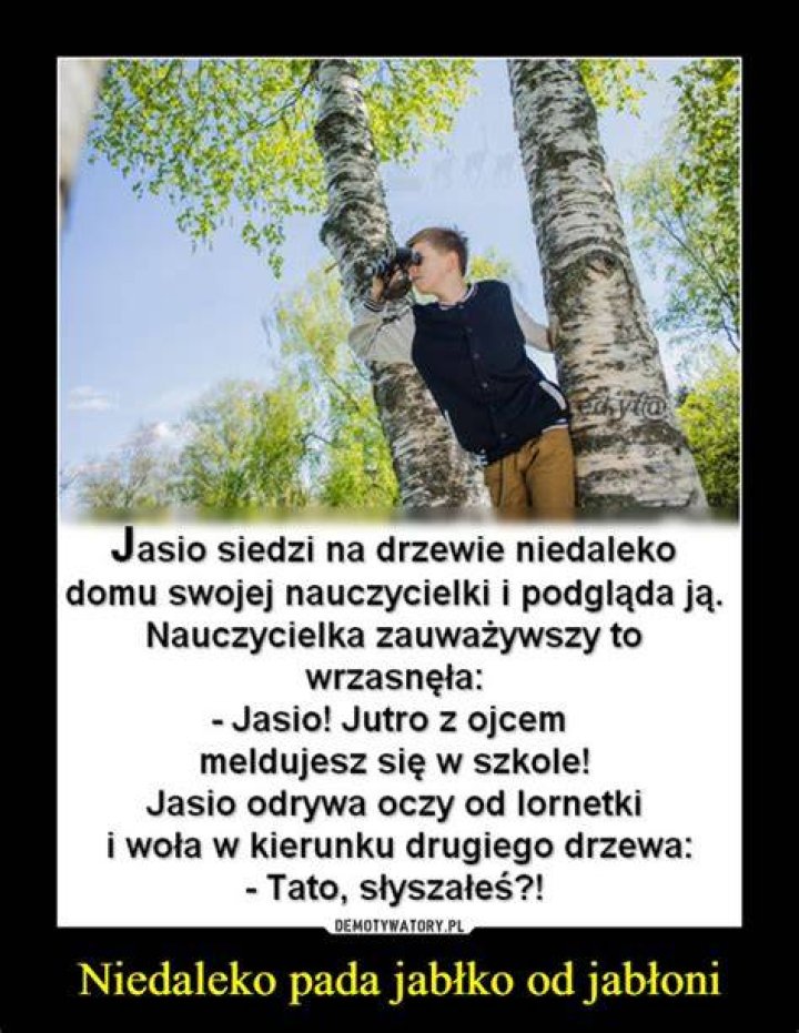 Niedaleko pada jabłko od jabłoni. Syn Ringo Starra został perkusistą, a syn Lennona jest
