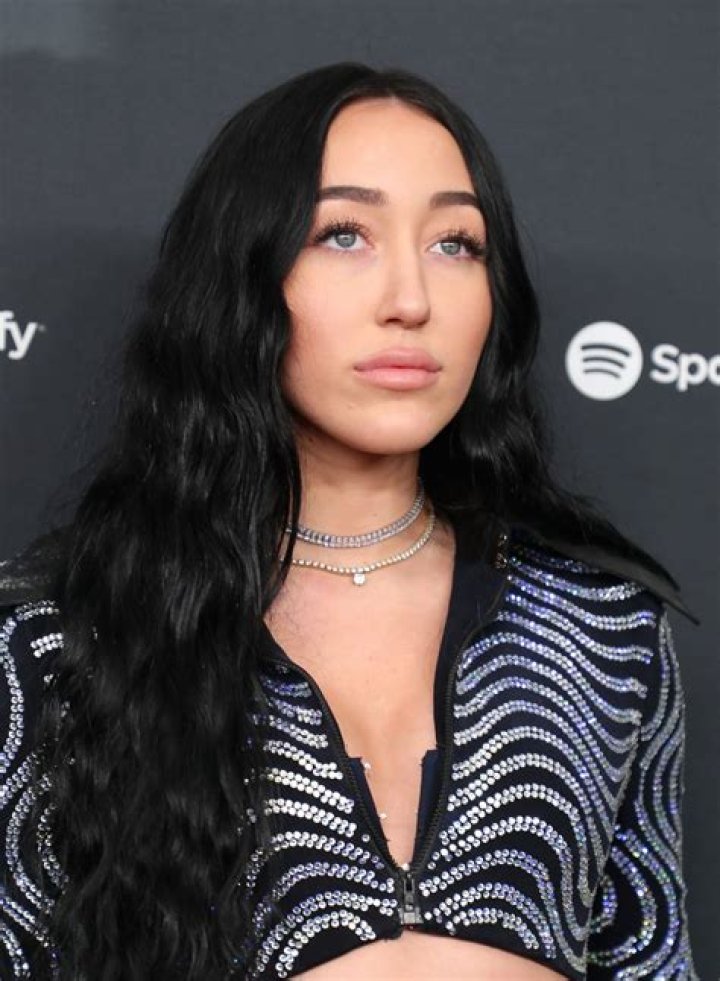 Noah Cyrus' Boyfriend Pinkus German Designer's Job, Details