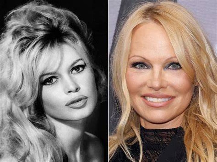 Pamela Anderson channels Brigitte Bardot during 9/11 charity Daily