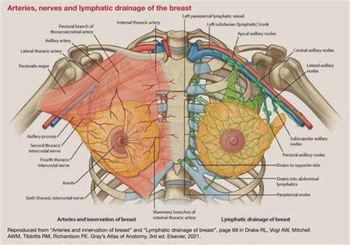 Right & Left Nipple or Breast Itching Superstition Meaning Spiritual