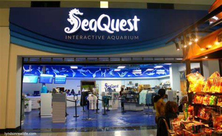SeaQuest Aquarium Operating Without a License in Littleton, Colorado