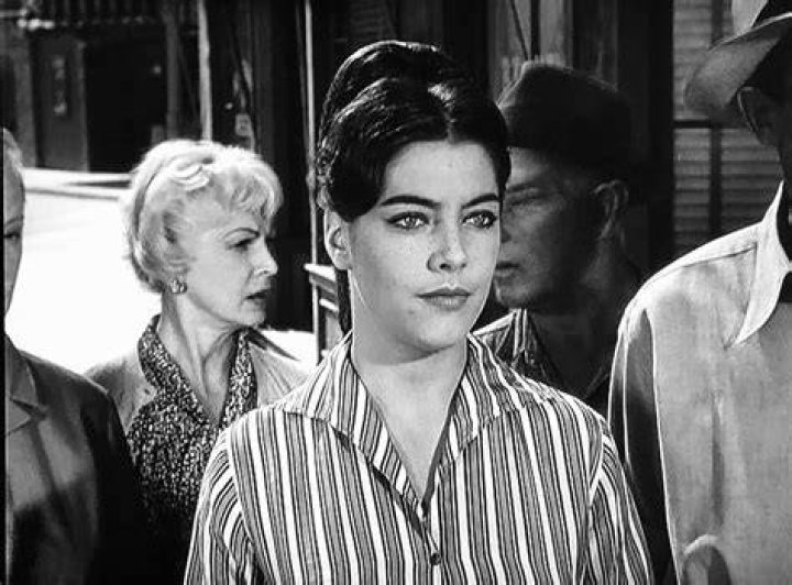 Stranger in Town (1960)