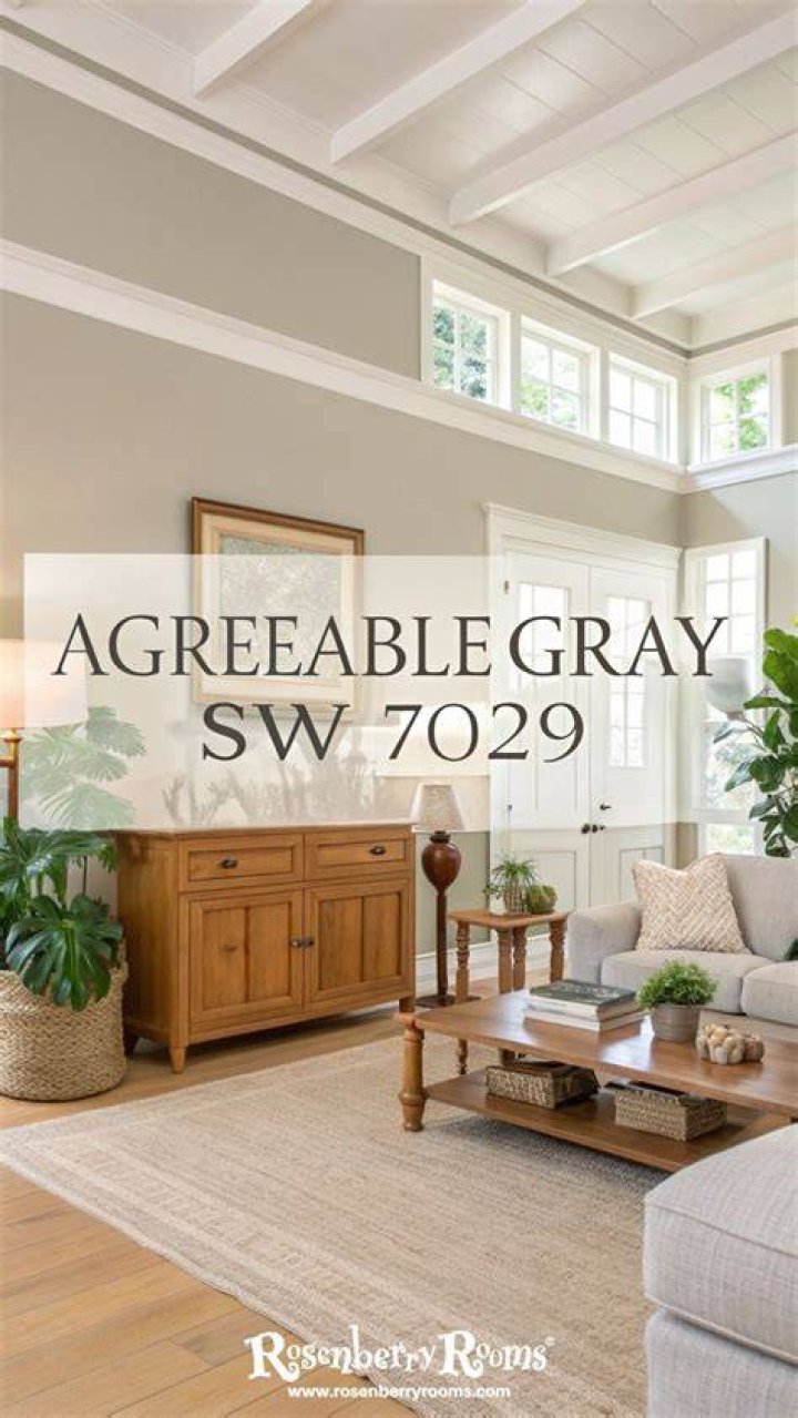Sw Agreeable Gray Living Room Baci Living Room