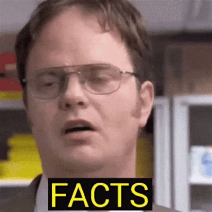 The Office Dwight Facts Photo 605391