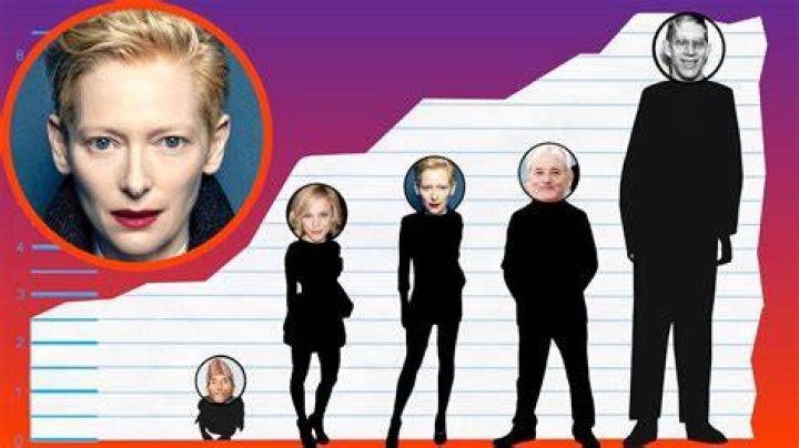 Tilda Swinton Height Photographic Height Comparison The Domme