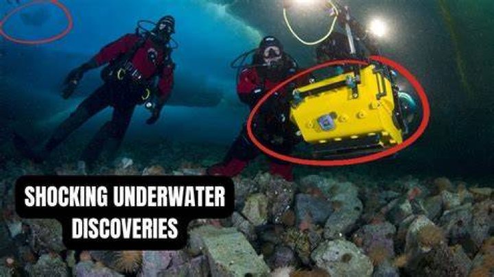 Unveiling The Depths: Discoveries From Diana Nyad's Renowned Oceanographer Spouse