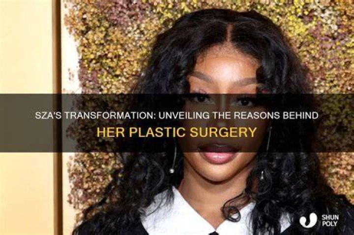 Unveiling The Sisterhood: Discover SZA's Sibling Connection