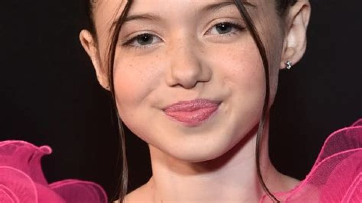 Violet McGraw M3GAN Actress Parents, Bio, Age, Net Worth Starsgab