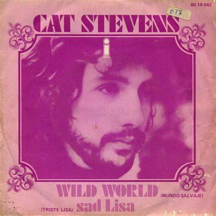 Wild world, de Cat Stevens, o c&oacute;mo despedirse de un viejo amor La Tercera